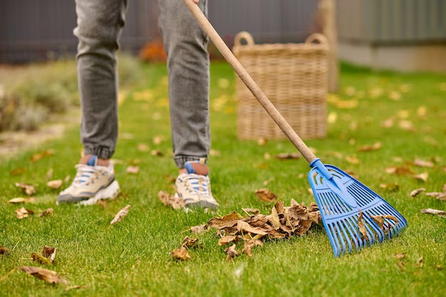 Summer Yard Work